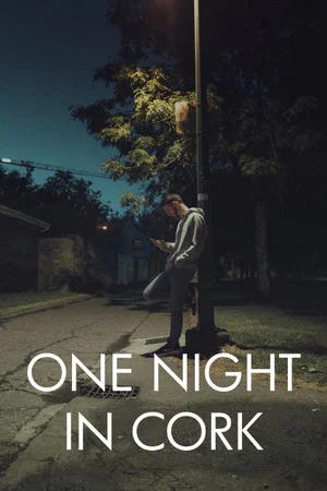 Постер: One Night in Cork
