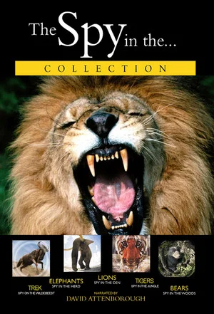 Постер: Lions: Spy in the Den