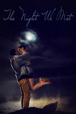 Постер: The Night We Met