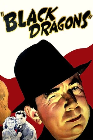 Постер: Black Dragons