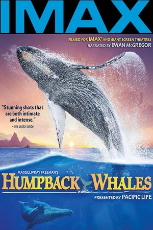 Постер: Humpback Whales