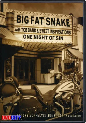 Постер: Big Fat Snake - One Night of Sin