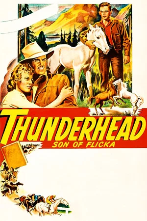 Постер: Thunderhead: Son of Flicka