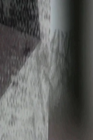 Постер: Snows of Reduction