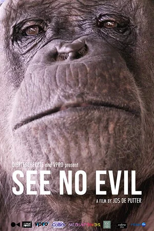 Постер: See No Evil