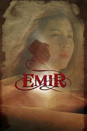 Постер: Emir