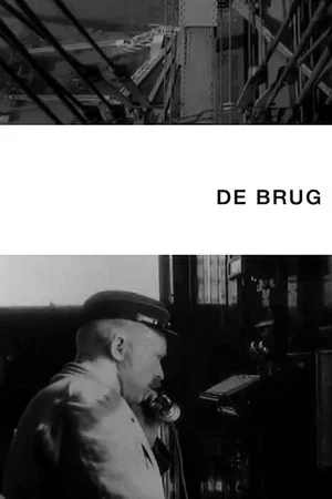 Постер: The Bridge