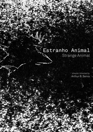 Постер: Estranho Animal
