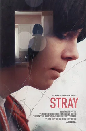 Постер: Stray