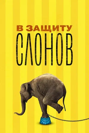 Постер: В защиту слонов