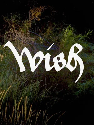 Постер: Wish
