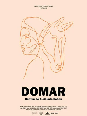 Постер: Domar