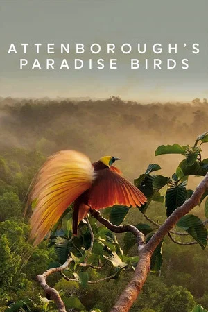 Постер: Attenborough's Paradise Birds