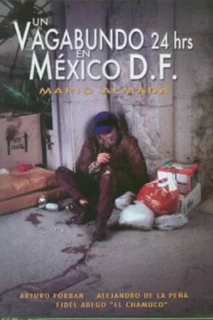 Постер: Un vagabundo 24 hrs. en México D.F.