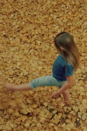 Постер: Ginko Yellow