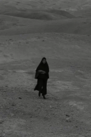 Постер: The Visitor