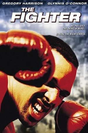 Постер: The Fighter