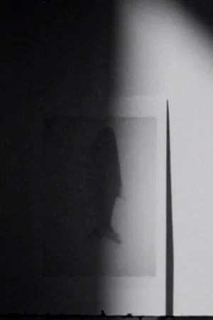 Постер: shadow swells