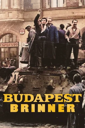 Постер: Budapest brinner