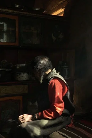 Постер: An Old Herdsman
