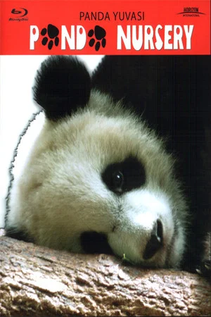 Постер: Panda Nursery