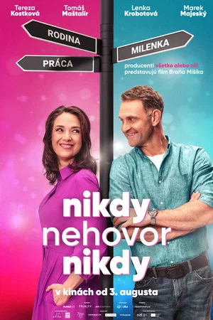 Постер: Никогда не говори никогда