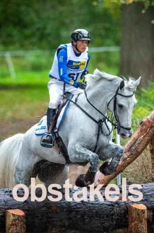 Постер: Obstacles