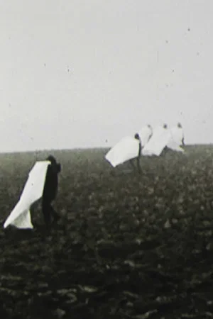 Постер: Landscape for White Squares