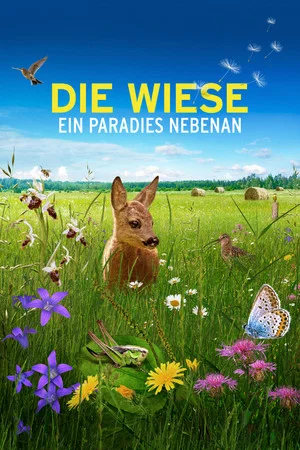 Постер: Die Wiese: Ein Paradies nebenan