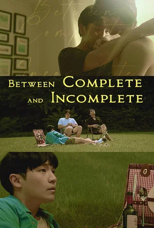 Постер: Between Complete and Incomplete