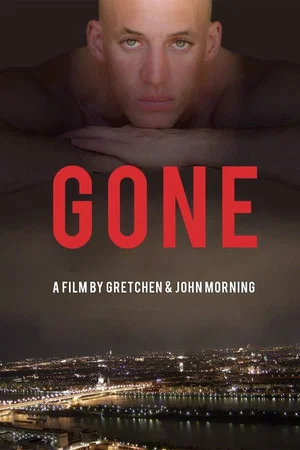 Постер: Gone: The Disappearance of Aeryn Gillern