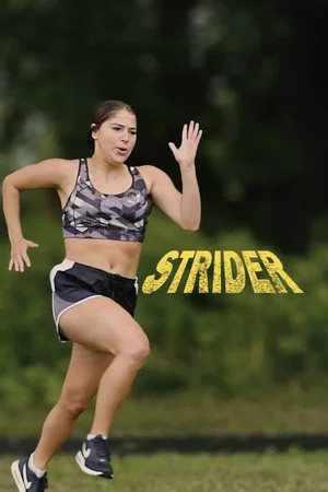 Постер: Strider