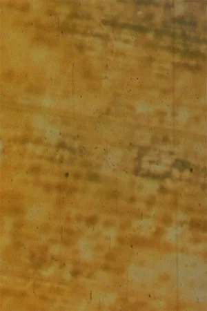 Постер: Bamboo