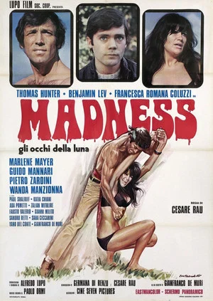 Постер: Madness