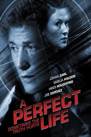 Постер: A Perfect Life