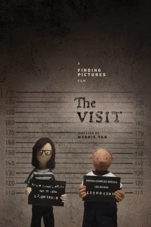 Постер: The Visit