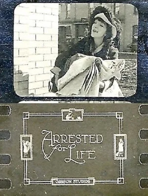 Постер: Arrested For Life