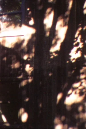 Постер: In A Tree’s Shadow