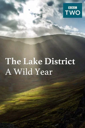 Постер: The Lake District: A Wild Year