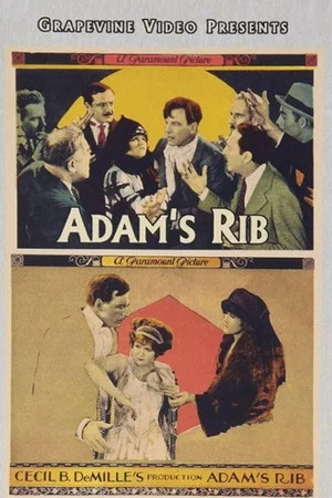 Постер: Adam's Rib
