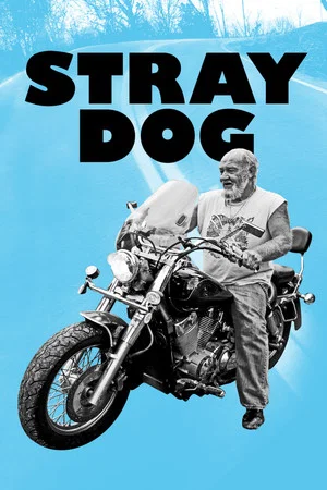 Постер: Stray Dog