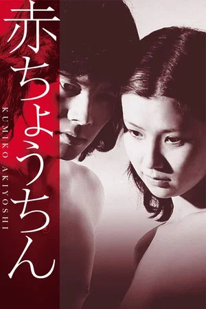 Постер: Red Paper Lantern
