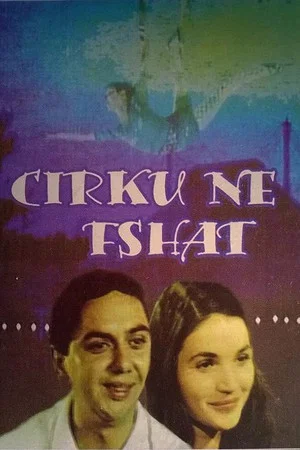 Постер: Circus in the Village