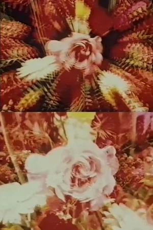 Постер: Contemplation of the Rose