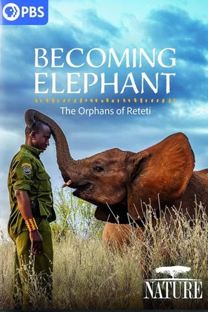 Постер: Becoming Elephant: The Orphans of Reteti