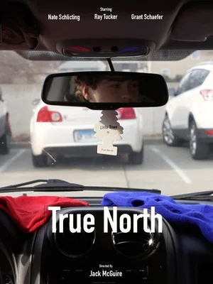 Постер: True North