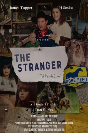 Постер: The Stranger