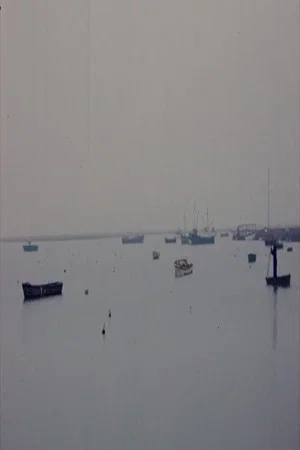Постер: Winter and Summer