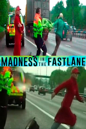 Постер: Madness in the Fast Lane