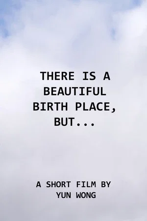 Постер: There Is a Beautiful Birth Place, But...